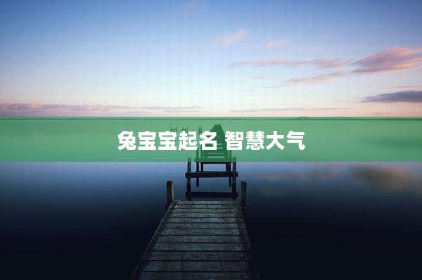 兔宝宝起名 智慧大气