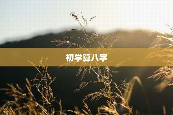 初学算八字