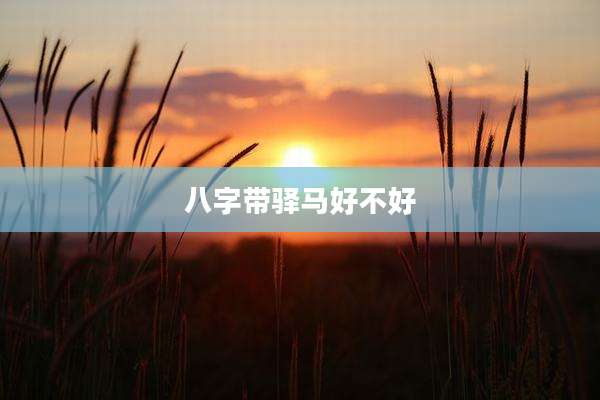 八字带驿马好不好
