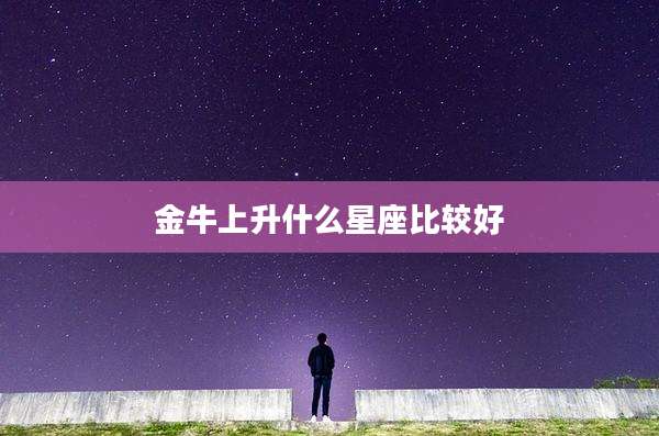 金牛上升什么星座比较好