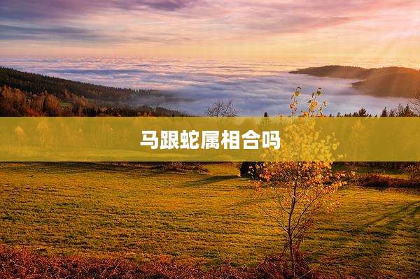 马跟蛇属相合吗