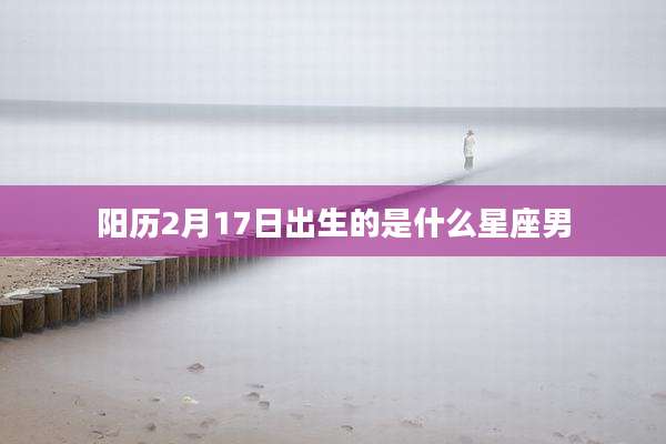 阳历2月17日出生的是什么星座男