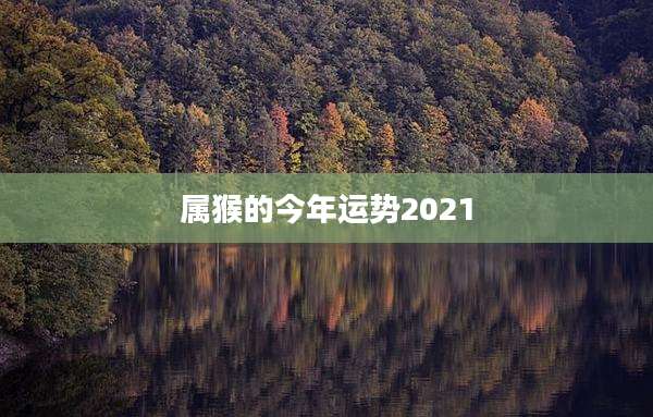 属猴的今年运势2021