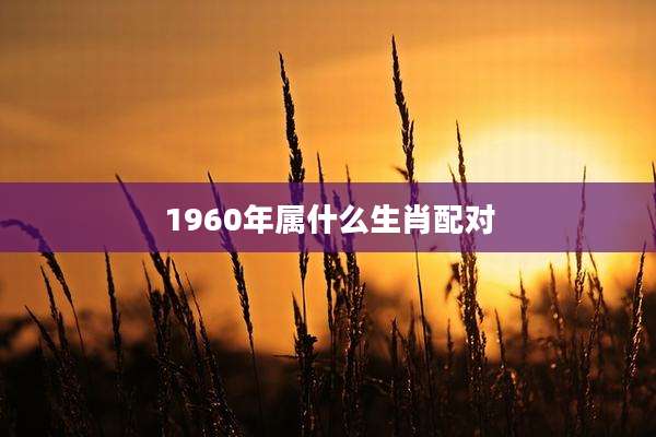 1960年属什么生肖配对