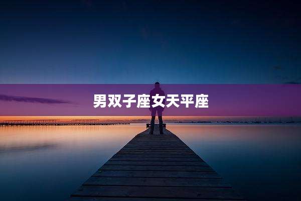 男双子座女天平座