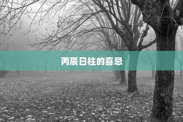 丙辰日柱的喜忌