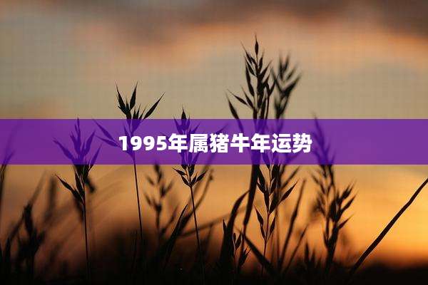 1995年属猪牛年运势