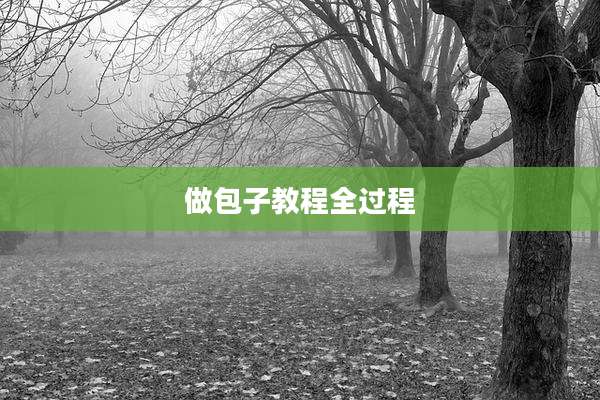 做包子教程全过程