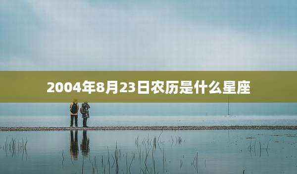 2004年8月23日农历是什么星座