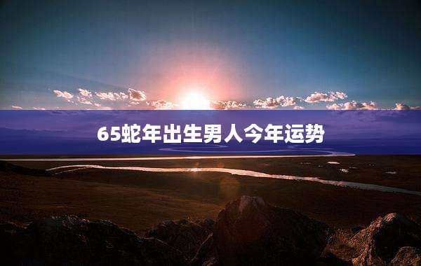 65蛇年出生男人今年运势