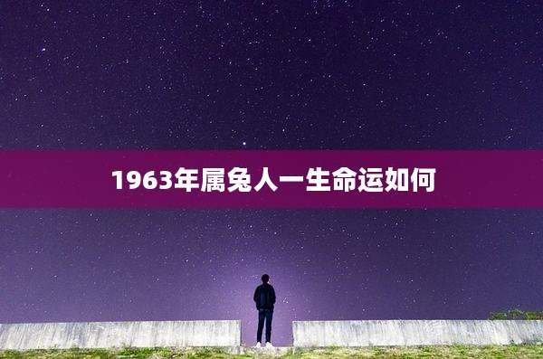 1963年属兔人一生命运如何
