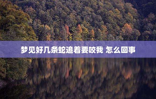 梦见好几条蛇追着要咬我 怎么回事
