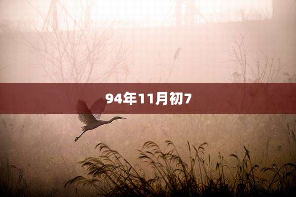 94年11月初7