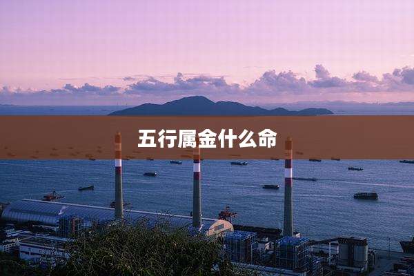 五行属金什么命