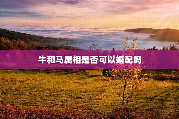 牛和马属相是否可以婚配吗