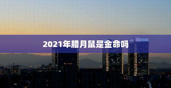 2021年腊月鼠是金命吗