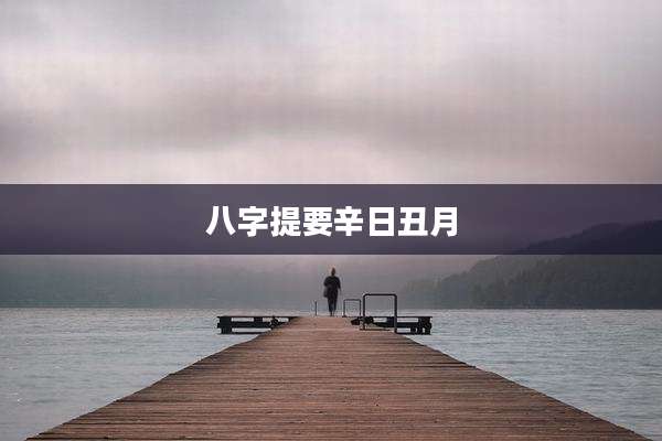 八字提要辛日丑月