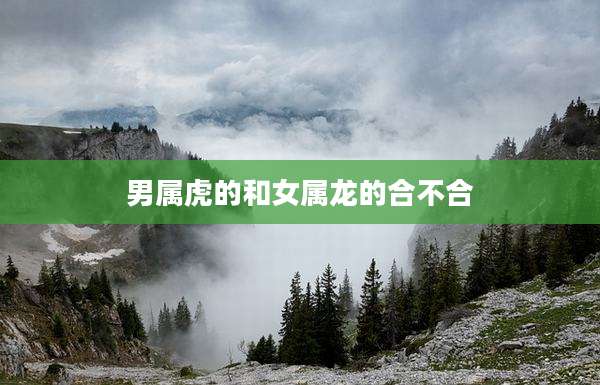 男属虎的和女属龙的合不合