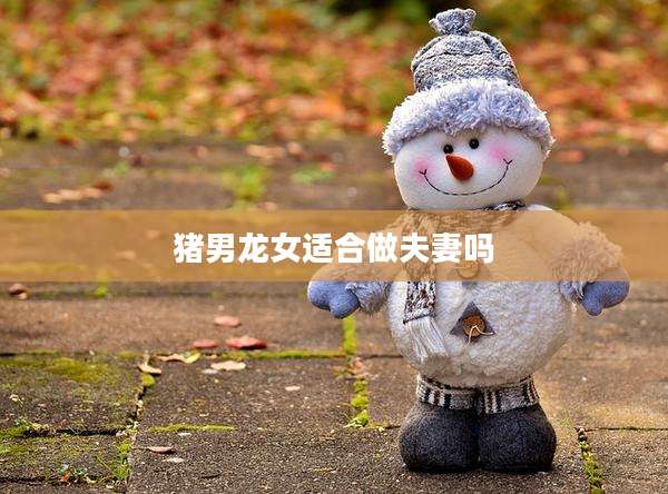 猪男龙女适合做夫妻吗