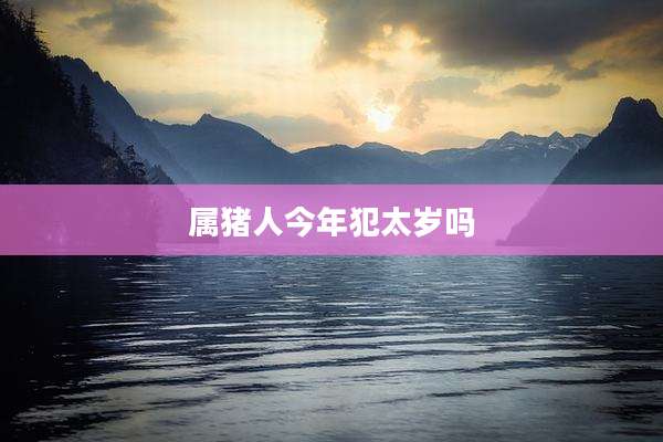 属猪人今年犯太岁吗