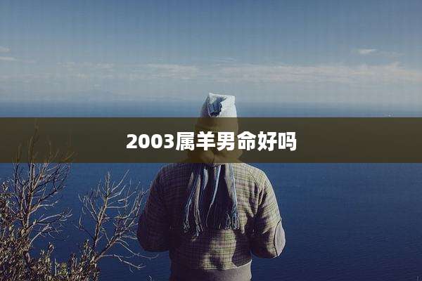 2003属羊男命好吗