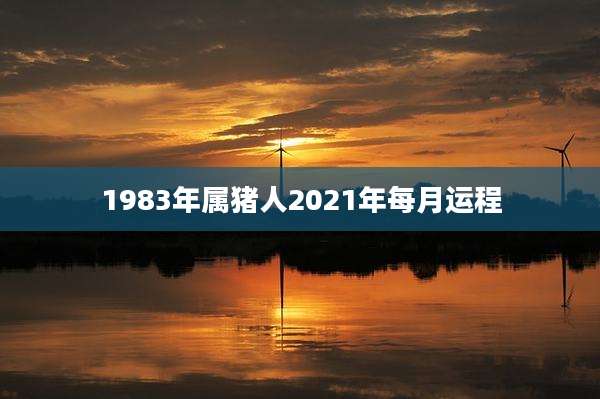 1983年属猪人2021年每月运程