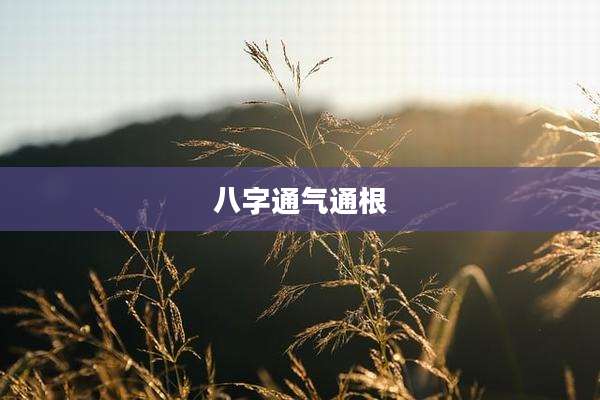 八字通气通根