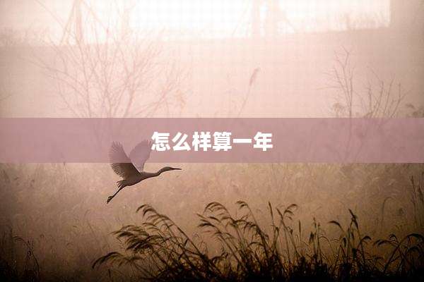 怎么样算一年