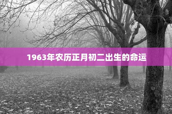 1963年农历正月初二出生的命运