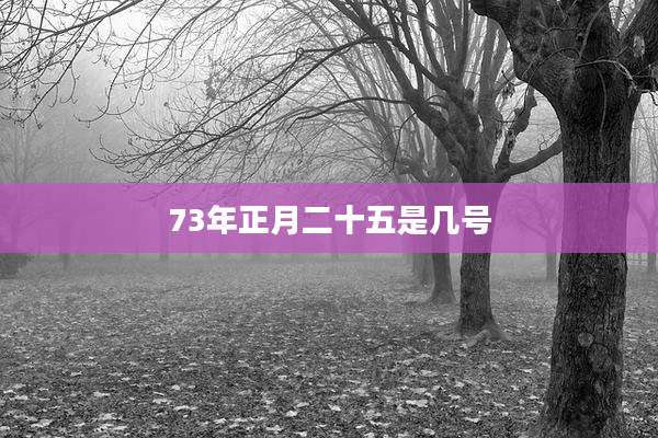 73年正月二十五是几号