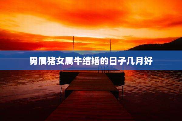 男属猪女属牛结婚的日子几月好