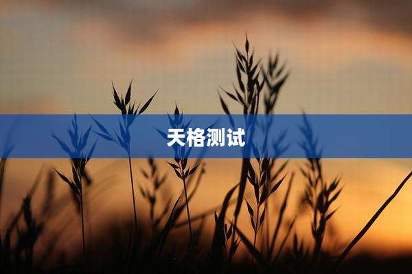 天格测试