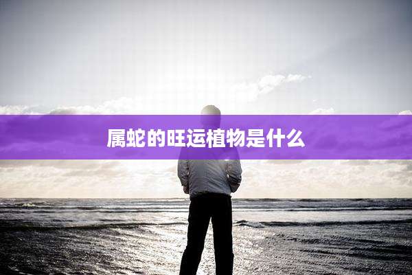属蛇的旺运植物是什么