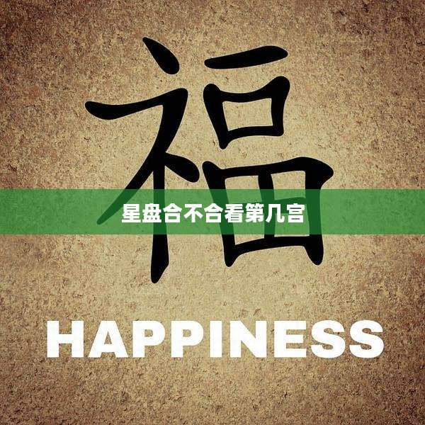 星盘合不合看第几宫