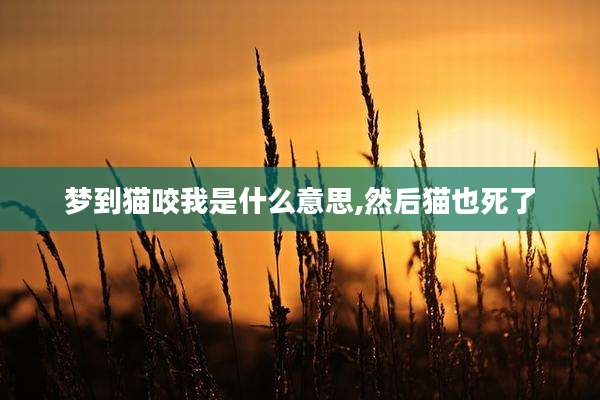梦到猫咬我是什么意思,然后猫也死了