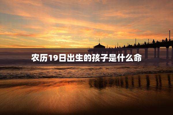 农历19日出生的孩子是什么命