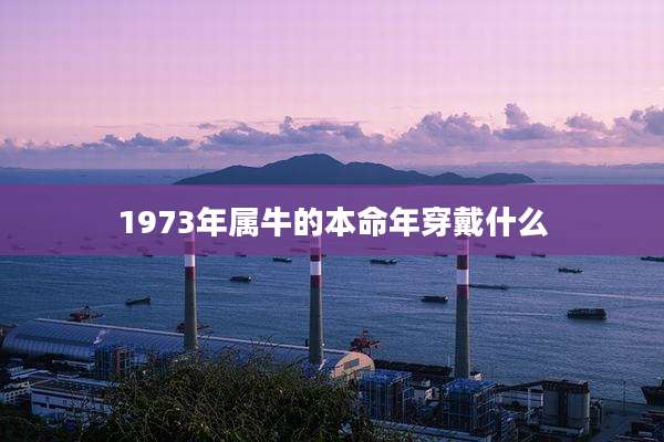 1973年属牛的本命年穿戴什么
