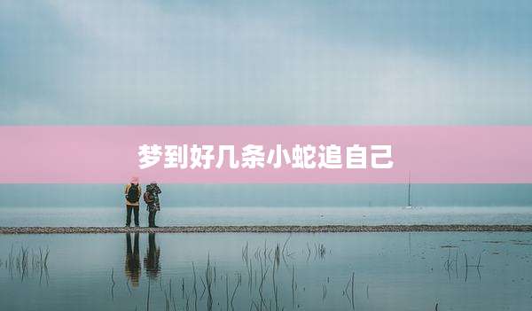 梦到好几条小蛇追自己