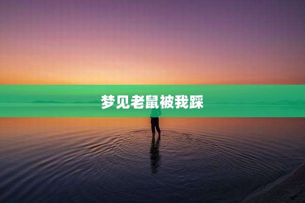 梦见老鼠被我踩