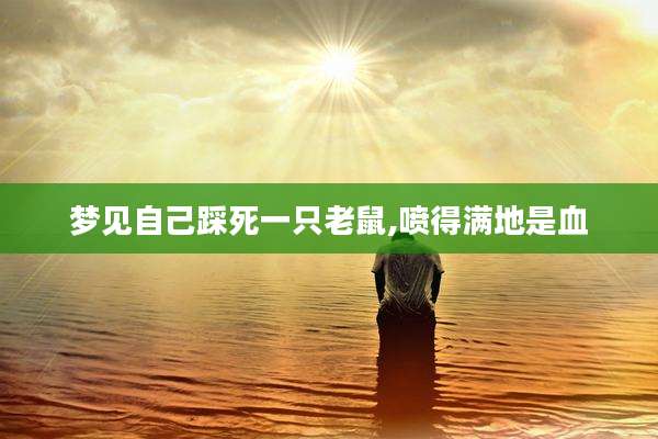梦见自己踩死一只老鼠,喷得满地是血