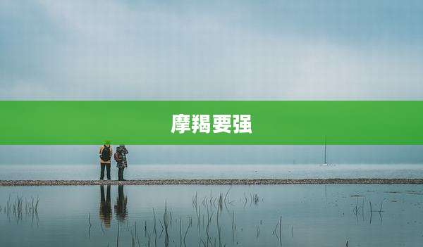 摩羯要强
