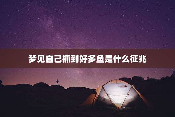 梦见自己抓到好多鱼是什么征兆
