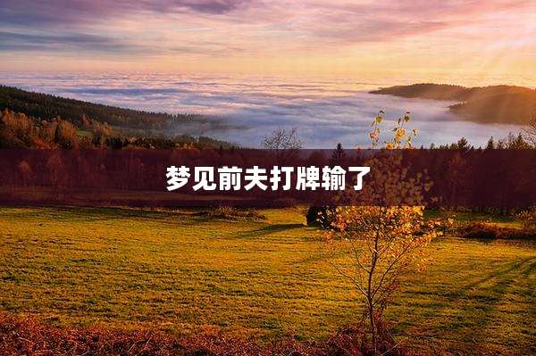 梦见前夫打牌输了