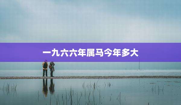 一九六六年属马今年多大