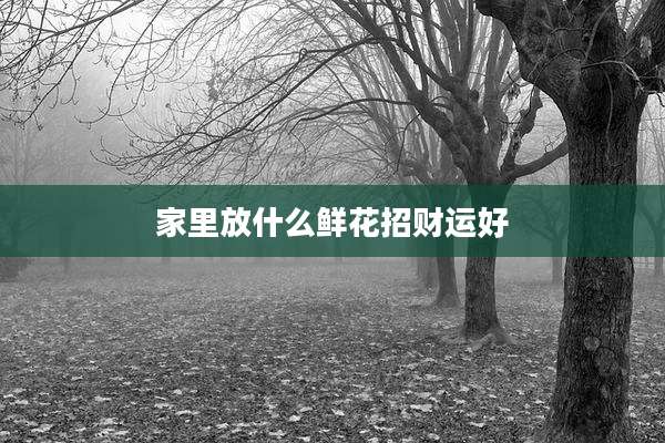 家里放什么鲜花招财运好