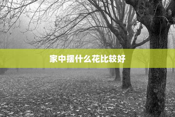 家中摆什么花比较好