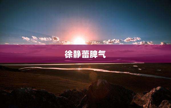 徐静蕾脾气