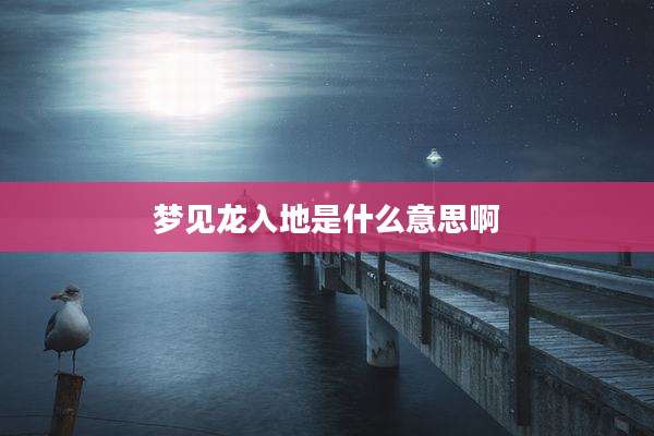 梦见龙入地是什么意思啊