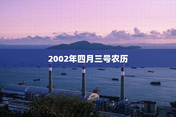 2002年四月三号农历