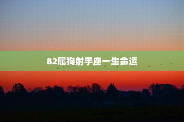 82属狗射手座一生命运